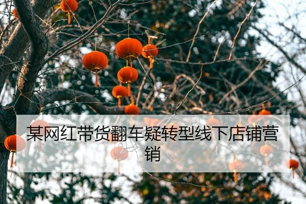 mou-wang-hong-dai-huo-fan-che-yi-zhuan-xing-xian-xia-dian-pu-ying-xiao-2-948.jpg