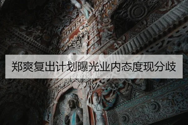 zheng-shuang-fu-chu-ji-hua-bao-guang-ye-nei-tai-du-xian-fen-qi-1-938.jpg